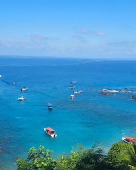 Cano Island Snorkeling from Sierpe Full Day