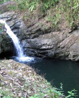 Uvita Waterfalls Santa Lucia