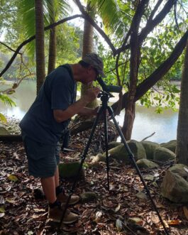 Birdwatching at Marino National Park, Uvita beach